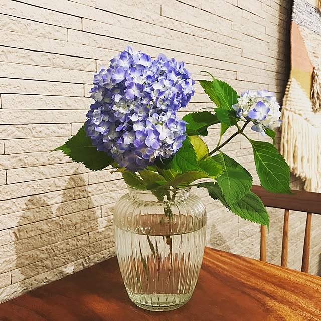 Seikoさんの実例写真