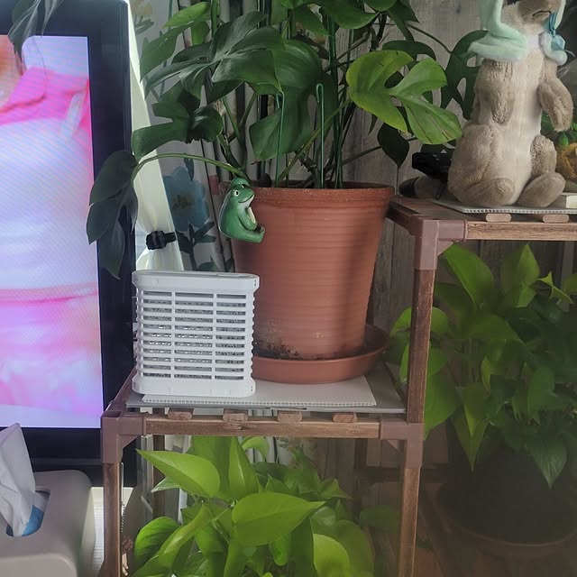 quanshanxia037さんの実例写真