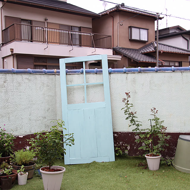 konohaさんの実例写真