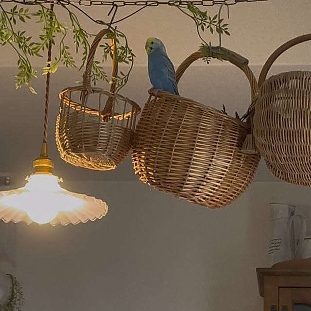 Atsukoさんの部屋