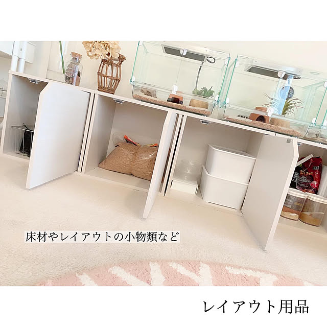 chaluさんの実例写真