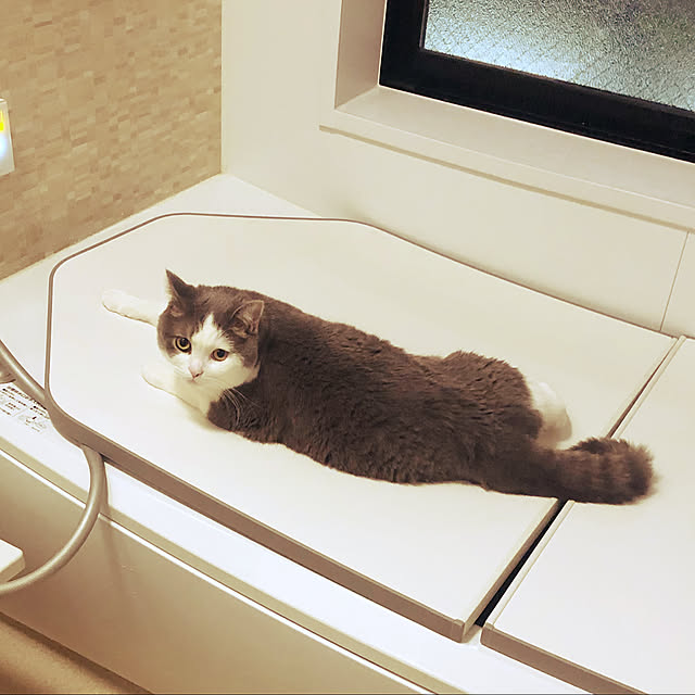 Michinekoさんの実例写真
