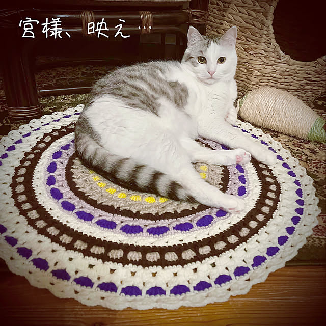 marusanさんの実例写真