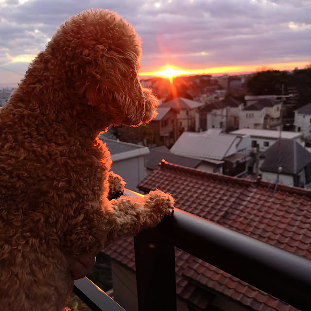 DJ-SIGURさんの実例写真