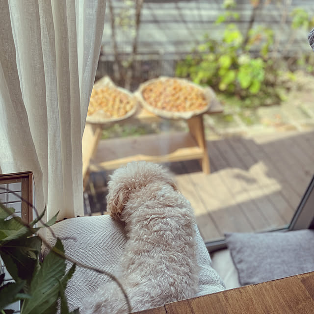 nikoさんの部屋