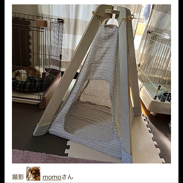 momoさんの実例写真