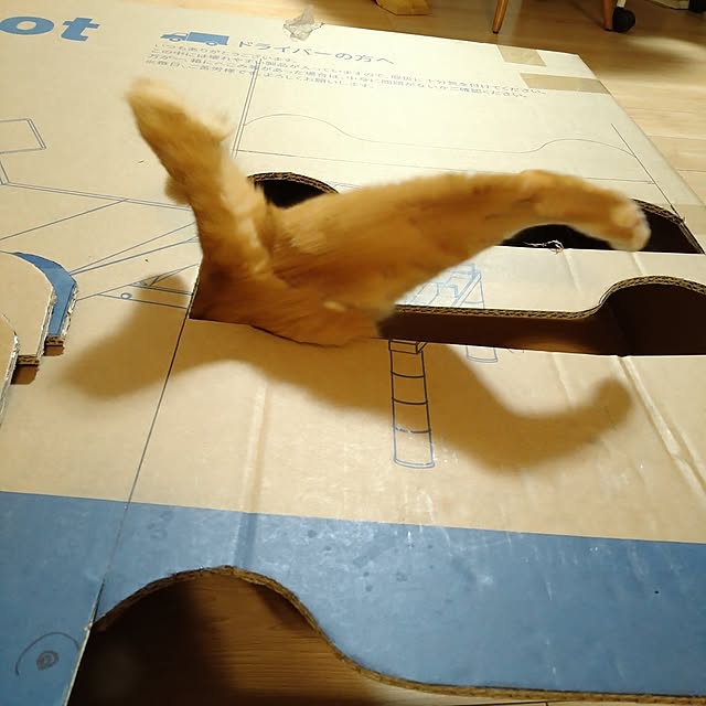 kiyohima229さんの部屋