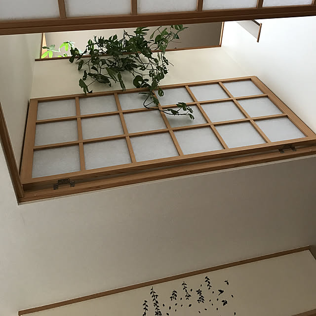 壁/天井/観葉植物のインテリア実例 - 2017-11-22 13:17:54