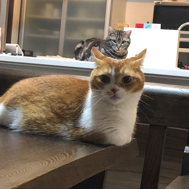 KotarouKunさんの実例写真