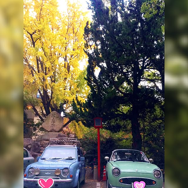 実例写真