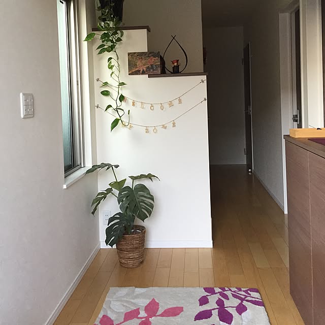 shocomamaさんの実例写真