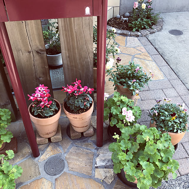 zukkoさんの実例写真