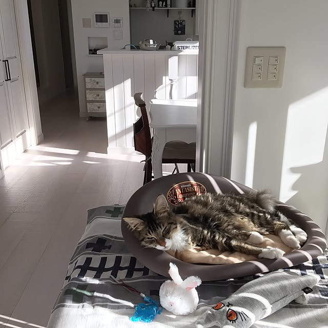 yuchiさんの実例写真