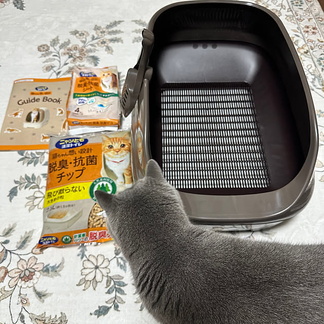 kittyさんの部屋