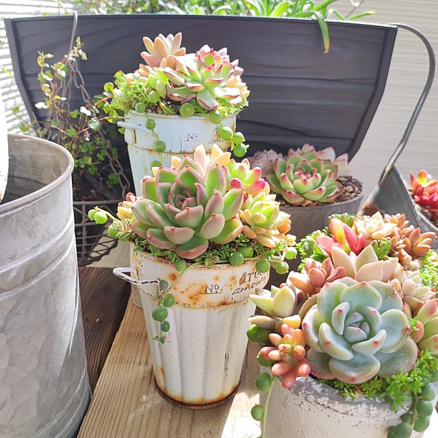 Jijiさんの部屋