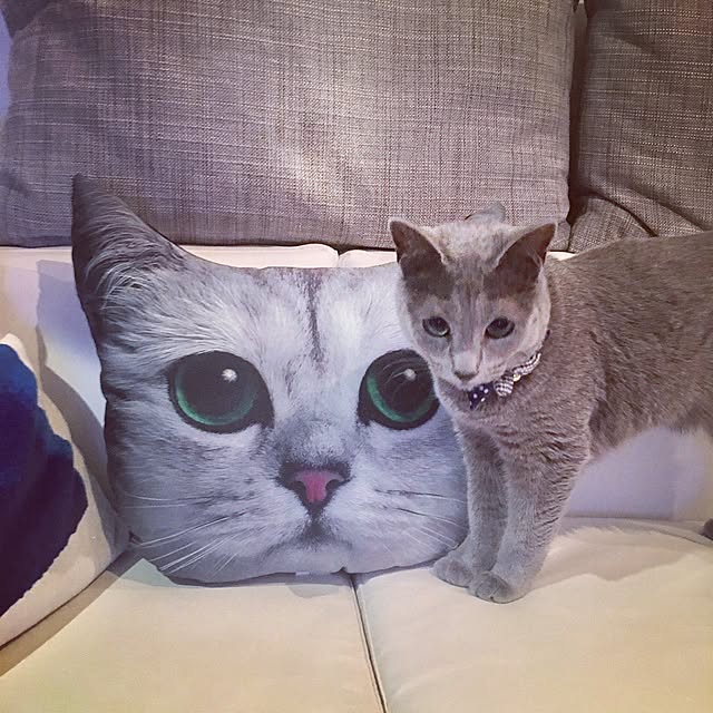 vさんの実例写真