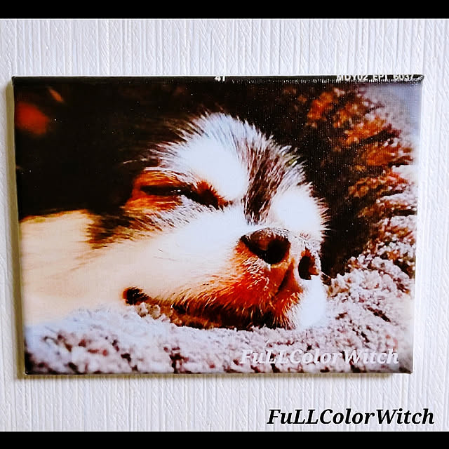 colorcolorさんの実例写真