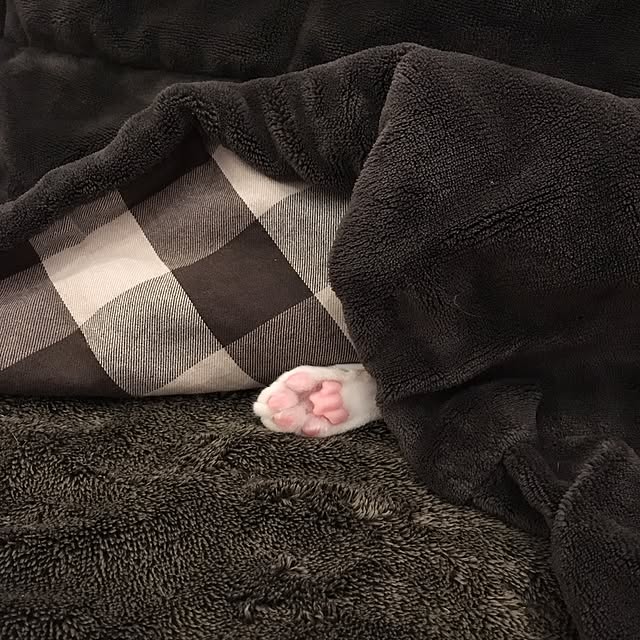 kajiさんの実例写真
