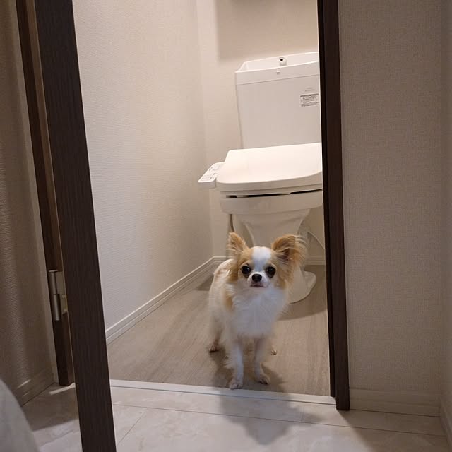 toratanさんの実例写真