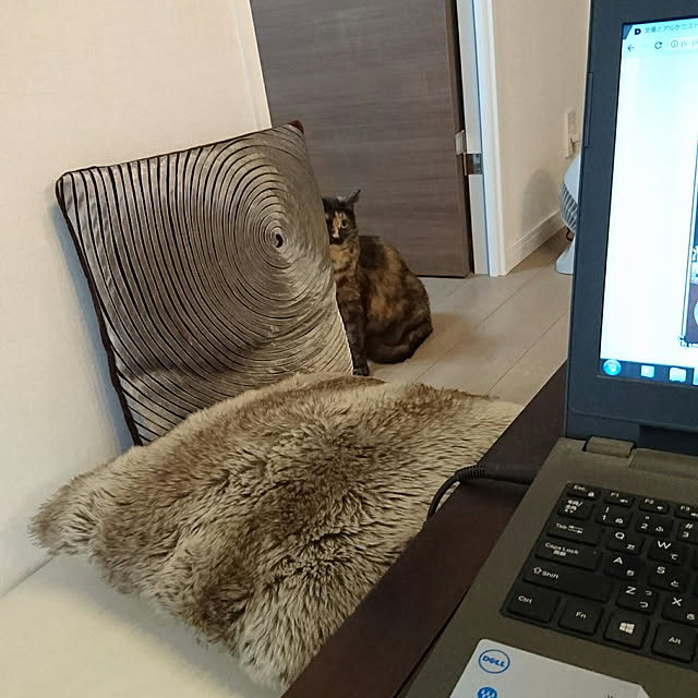 tokiさんの実例写真