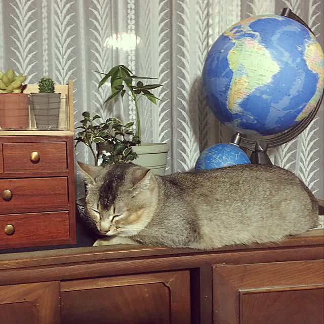 sumiccoさんの実例写真