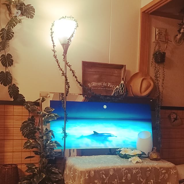 実例写真