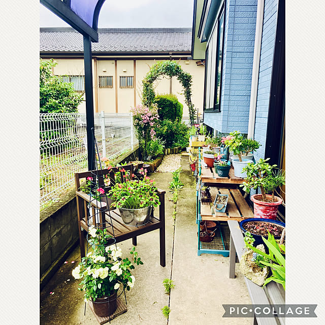CoCo0617さんの実例写真