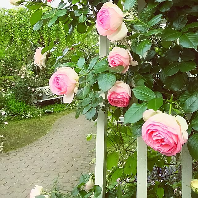 s.mamaさんの実例写真