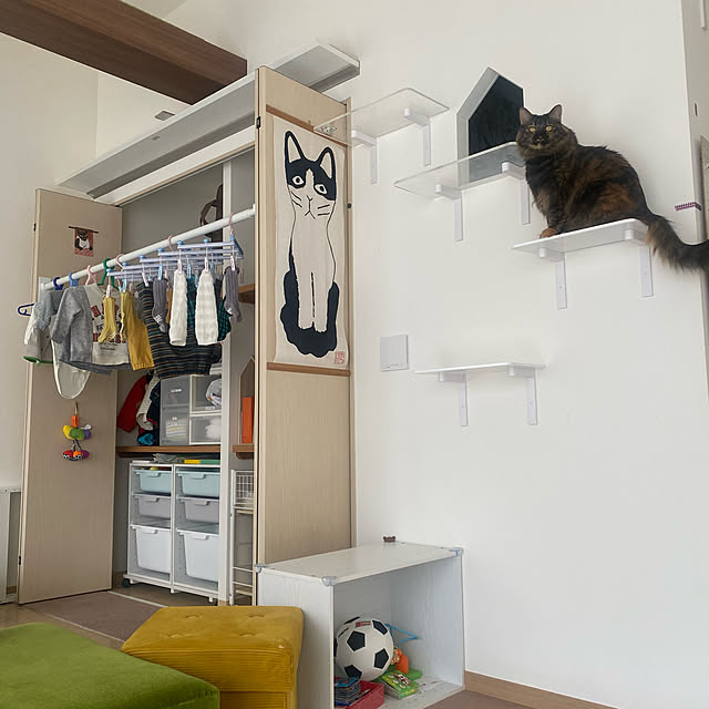 mikomaruさんの実例写真