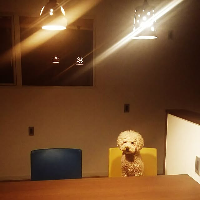 tentenさんの実例写真