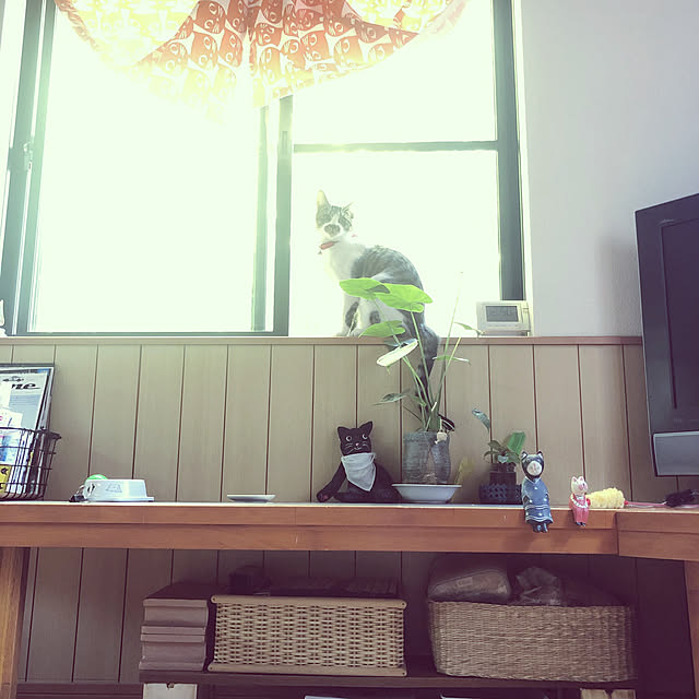 jijiさんの実例写真