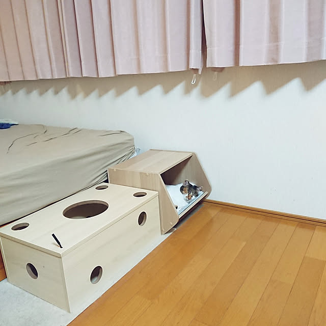 nachiさんの実例写真