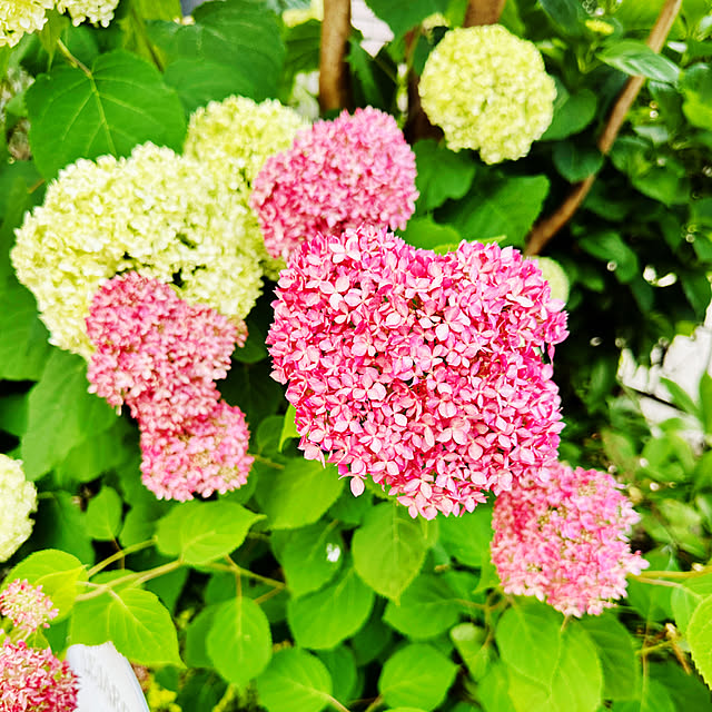 UNI.mamaさんの部屋