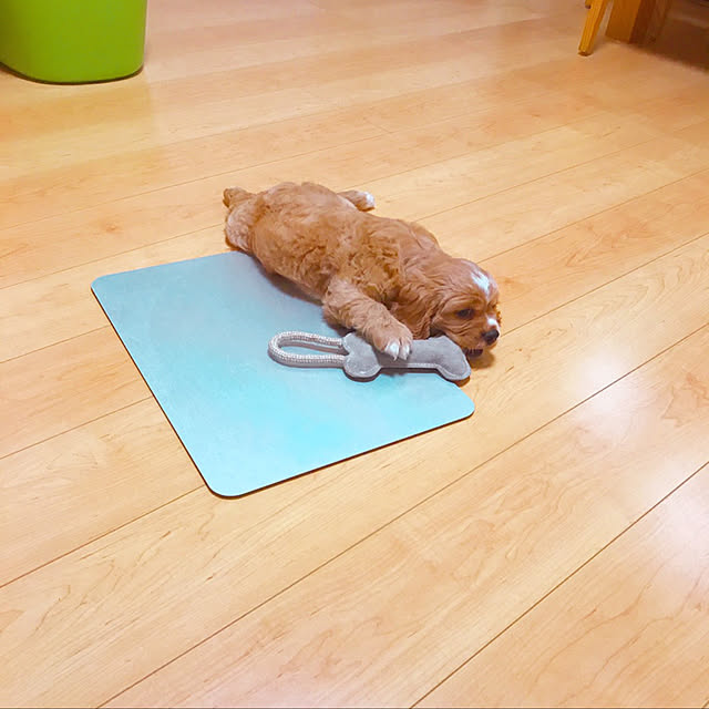 yuuさんの実例写真