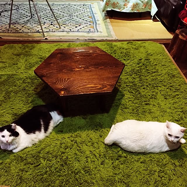 matatabi88さんの実例写真