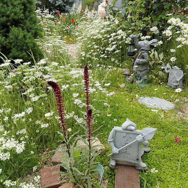 noraさんの実例写真