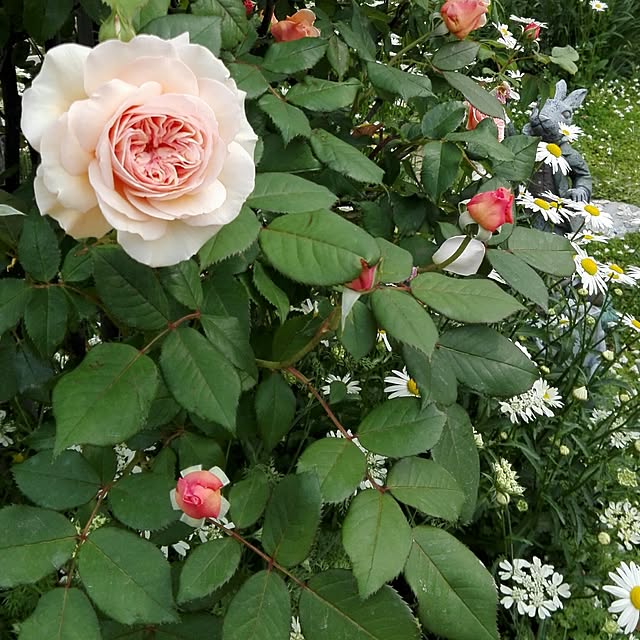 noraさんの実例写真