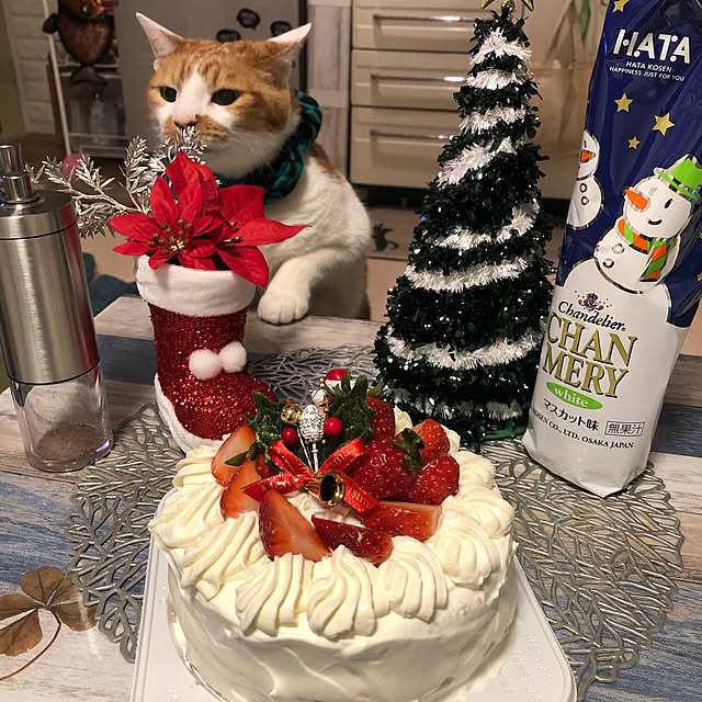 mikenekoさんの実例写真