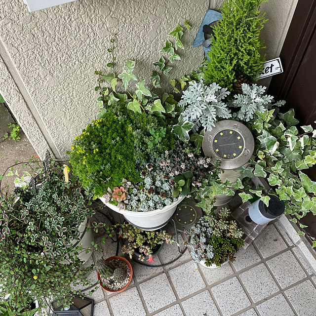 taihanaさんの実例写真