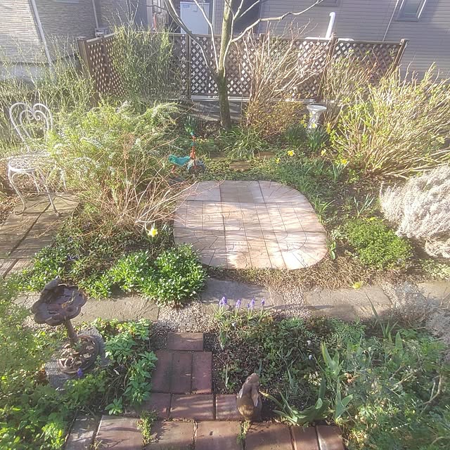 Hujikoさんの実例写真