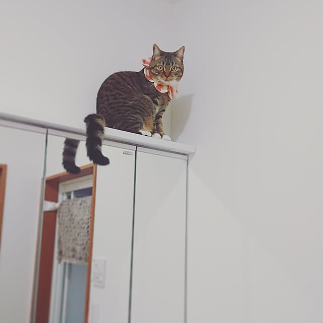 mochicoさんの実例写真