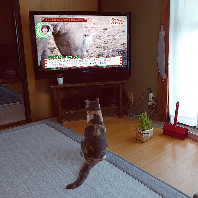 fukuさんの実例写真