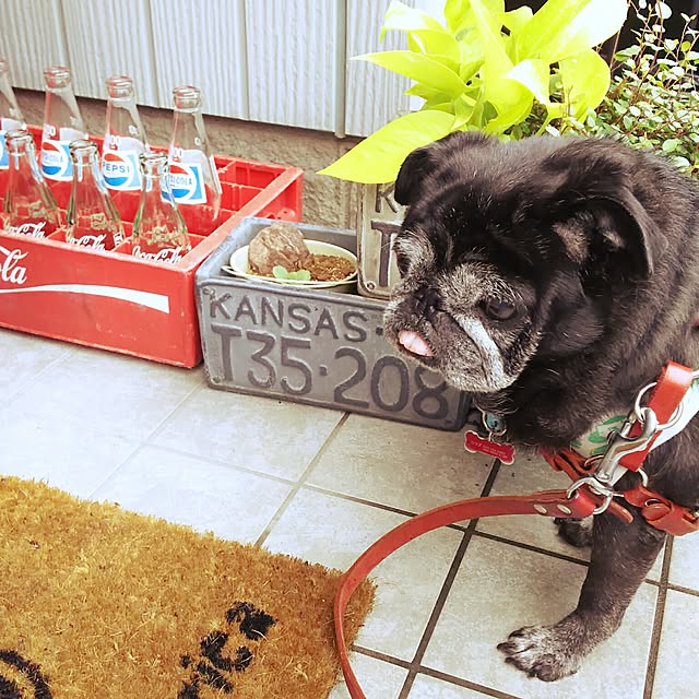 kuupugさんの実例写真