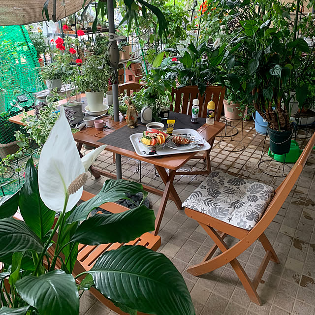 Aqettyさんの部屋