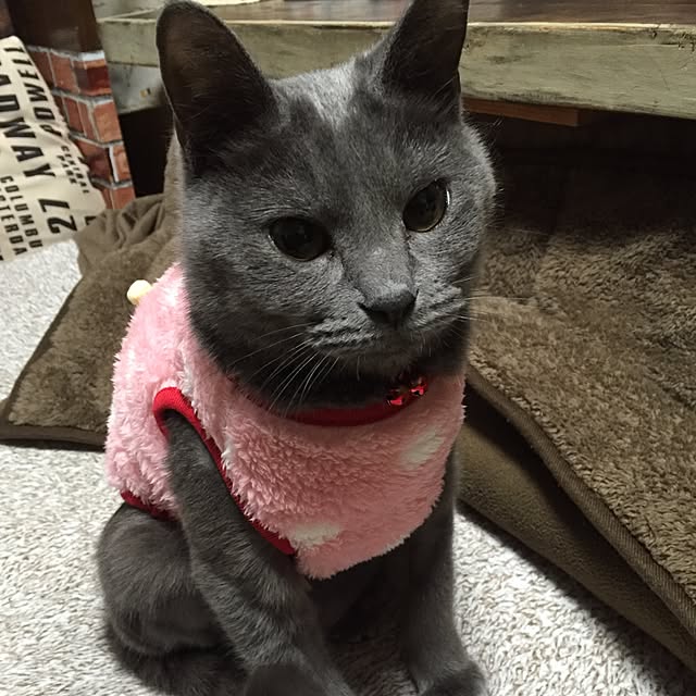 8717さんの実例写真