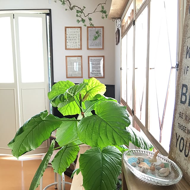 takaさんの実例写真