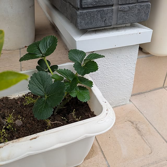 minnieさんの部屋