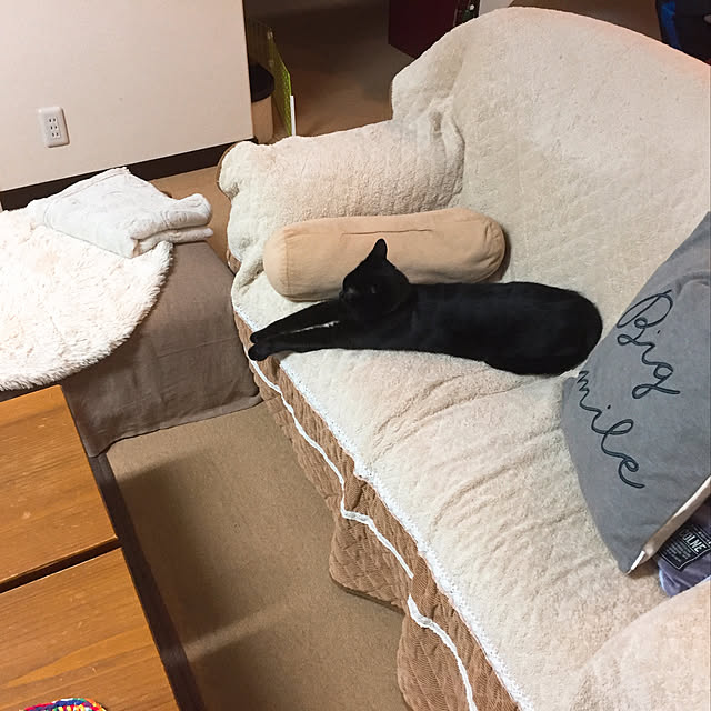 nanaさんの実例写真