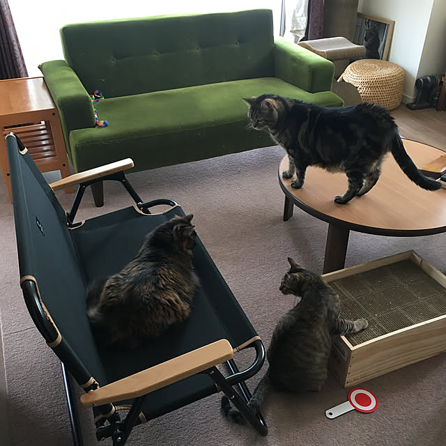 mikomaruさんの実例写真