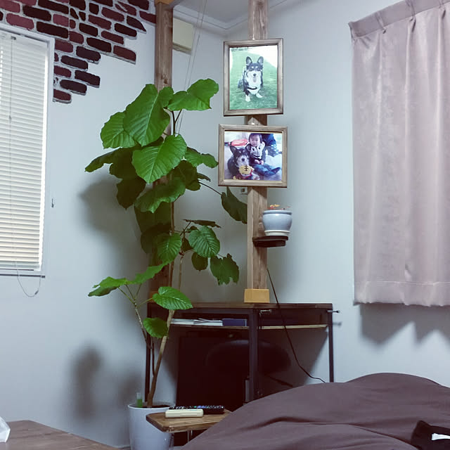 goriさんの実例写真
